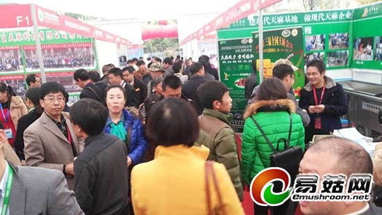 QQ图片20141111095710