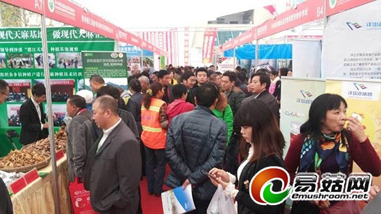 QQ图片20141111095713