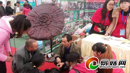 QQ图片20141111095717