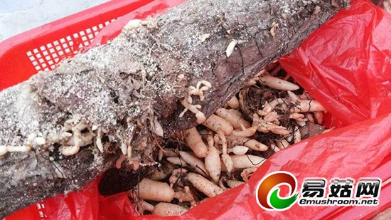 QQ图片20141111095736