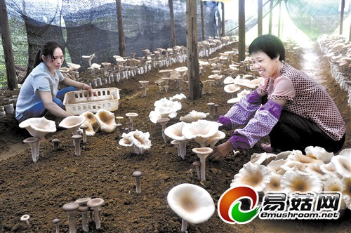 1113199598_14156772453091n