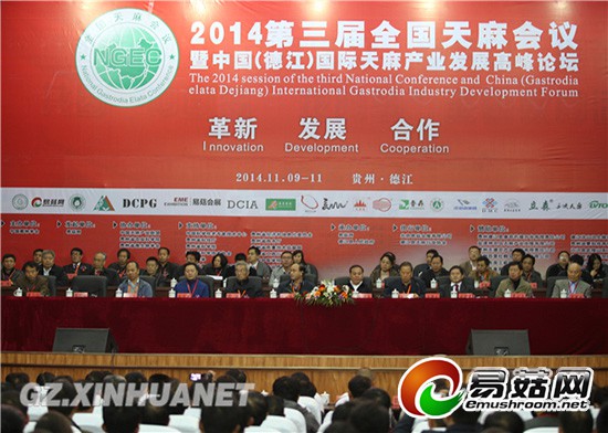 1113218438_14157771479471n