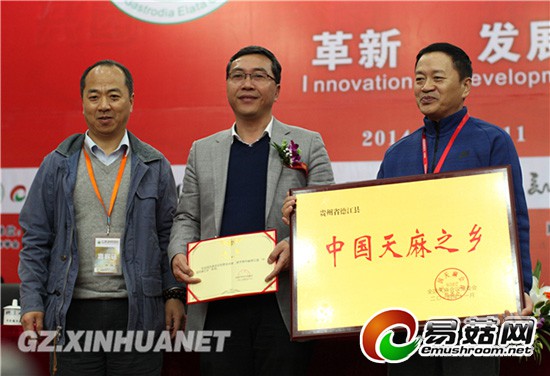 1113218438_14157771588431n