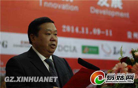 1113218438_14157771589071n