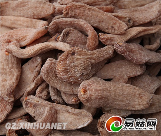 1113218438_14157771590351n