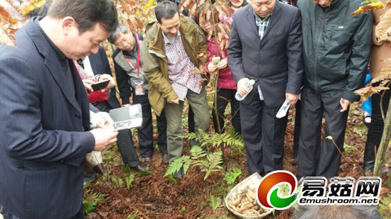 QQ图片20141112222712-