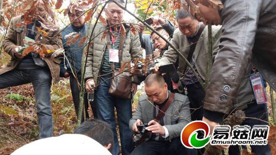 QQ图片20141112222730-