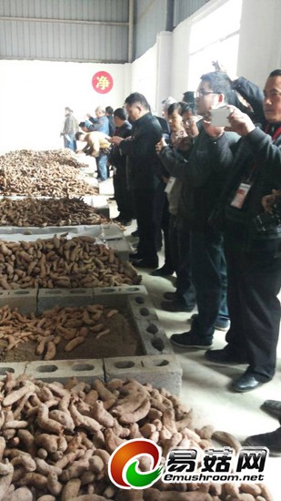 QQ图片20141112222700-