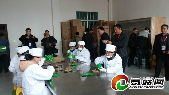 QQ图片20141112222635-