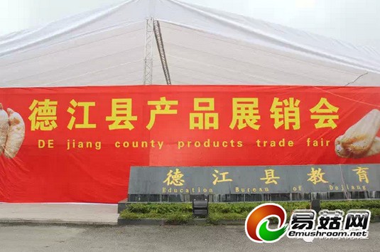 QQ截图20141117174915