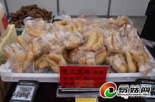 QQ截图20141117175105