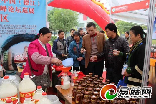 QQ截图20141117175134