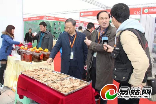 QQ截图20141117175152