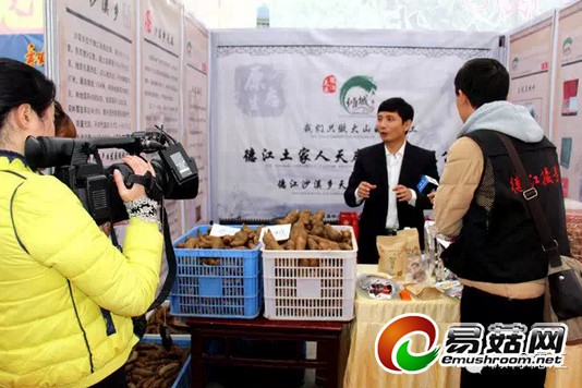 QQ截图20141117175202