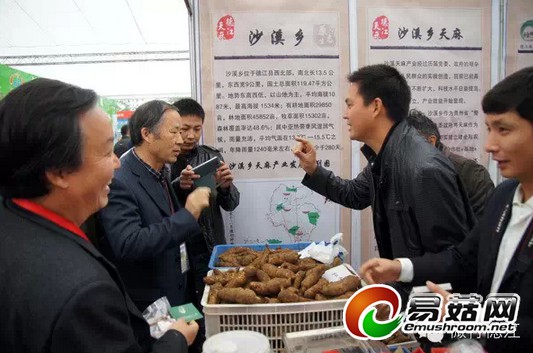 QQ截图20141117175211