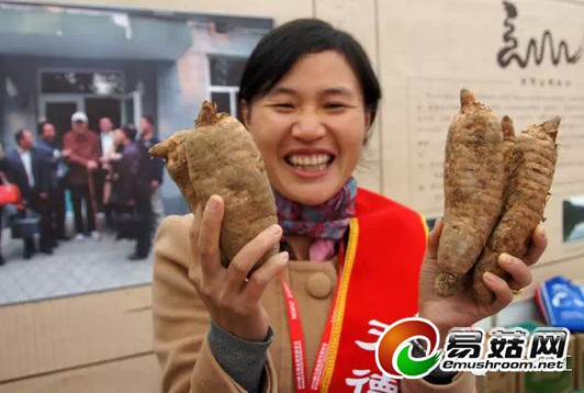 QQ截图20141117175221