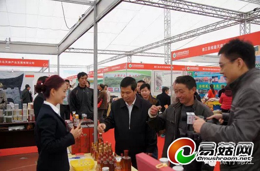 QQ截图20141117175239