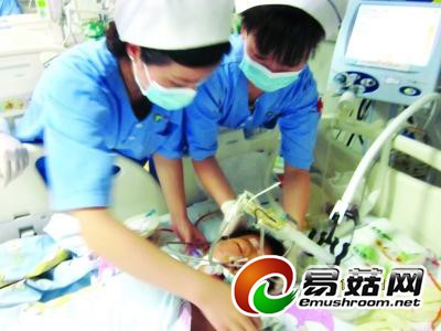 三兄妹吃野蘑菇中毒 一人死亡另两人需换血三遍