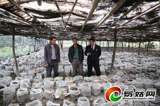 1113354464_14165584674241n