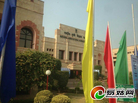 QQ图片20141123124215