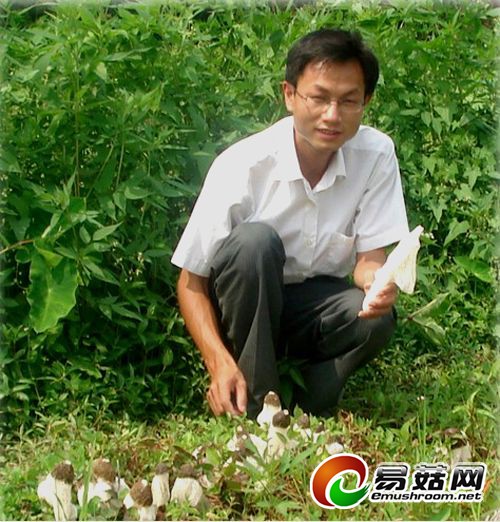 敢想才会赢穿裙子的ManBetX体育高价不愁卖（图）