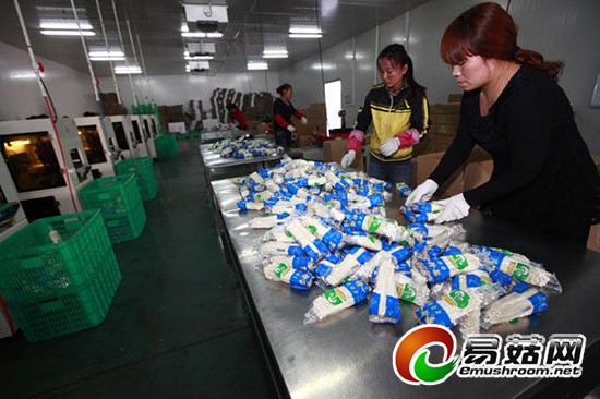 w_2014121005551984879996862248352117483