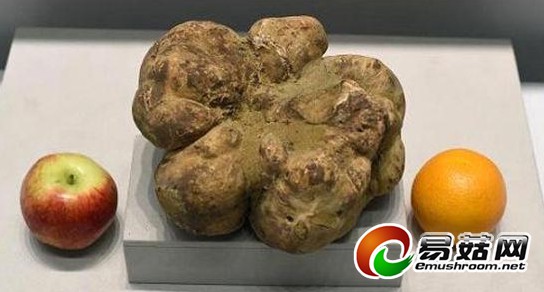 QQ截图20141210142129