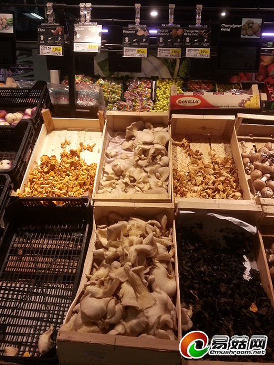 巴黎超市里平菇的价格9.9欧一KG