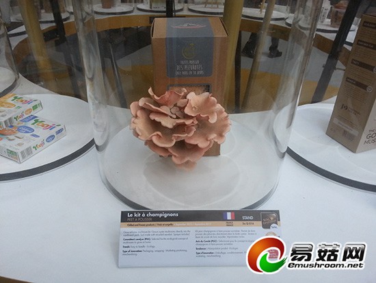 巴黎世界博览会-Manbetx体育手机版推荐A9版本趣味园艺(法国) (2)