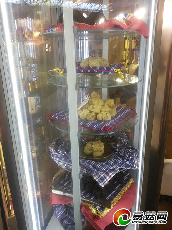 巴黎世界食品博览会-意大利白松露 (2)