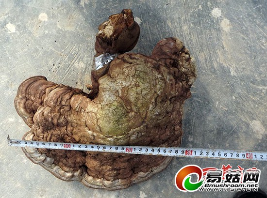 QQ截图20141218102708