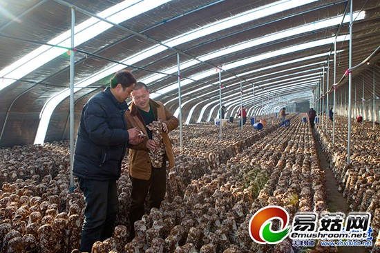 1113690808_14188747561871n