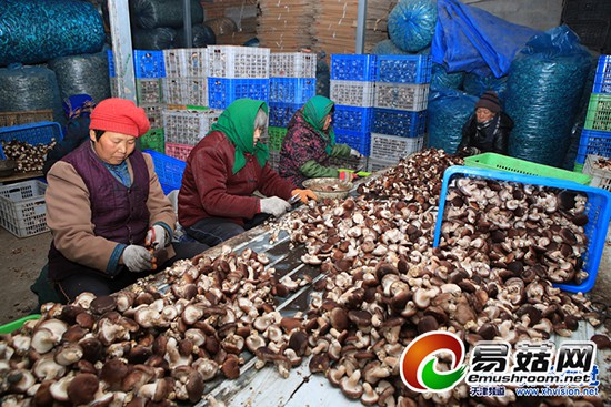 1113690808_14188747564061n