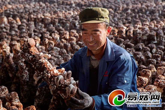 1113690808_14188749221871n