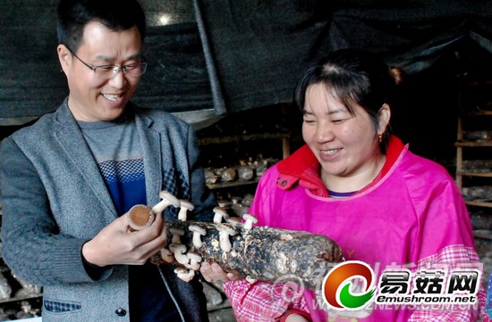 肖国水:放弃生意回村种菇创业 自掏腰包&ldquo;取经&rdquo;
