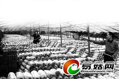 重庆垫江县：返乡一年 他的梦想&ldquo;长大&rdquo;了