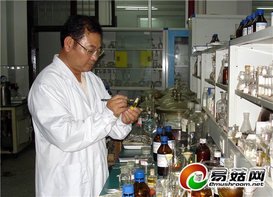 广西王健:从“知青”走来的“菇博士”