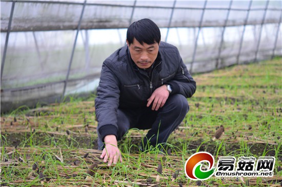 四川张文平:带领耳农致富的“科普明灯”