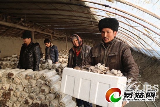 cms_3195cef455f34d82afd95e34ee8ff34d