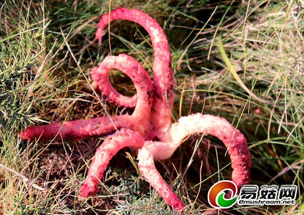 7b44c4f5-9e43-4346-826c-002f7475fbca