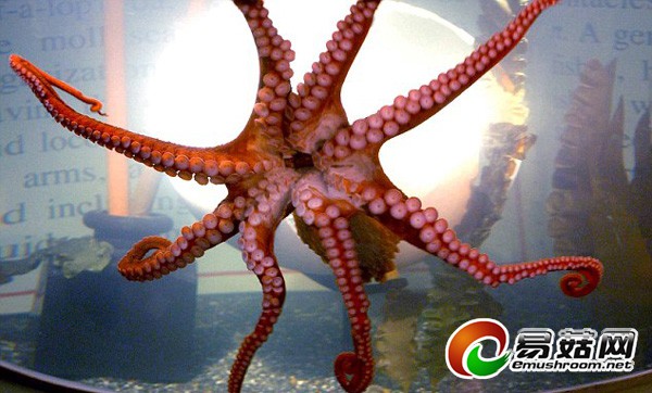 6d76fa28-0e62-489b-a3df-6e8f241b2bb1