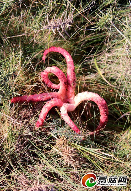 ea827080-c173-4034-aeff-1778ab0a01df