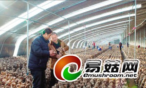 蓟县Manbetx体育手机版推荐A9版本基地创收超亿元