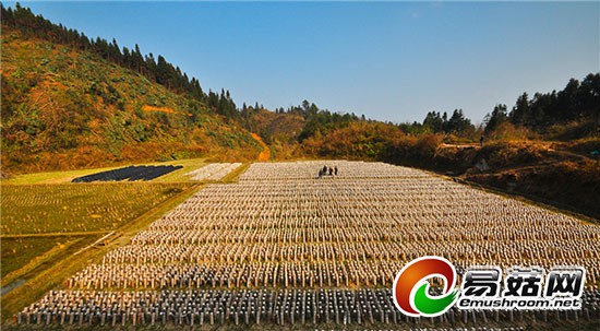 1113832664_14199324053981n