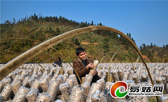 1113832664_14199324153451n