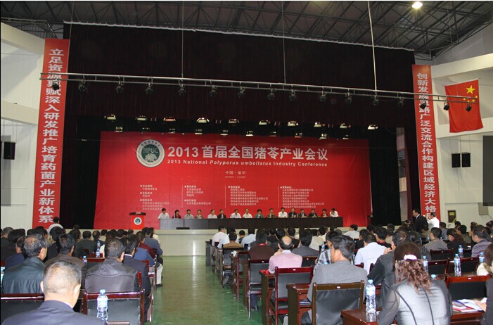 QQ图片20141231233616