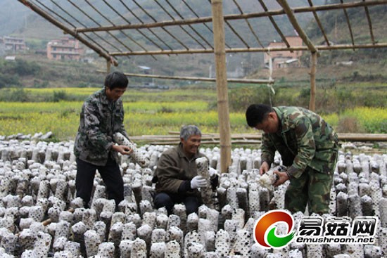 1113878269_14204276391601n