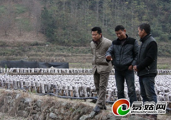 1113878269_14204277750921n