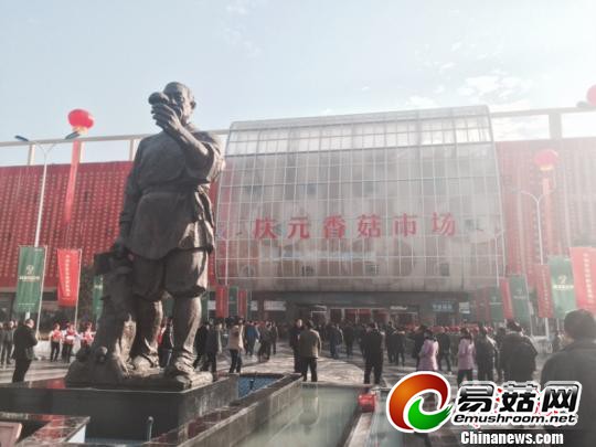 国内最大Manbetx体育手机版V17版本发布.官网安卓网.香港市场启幕续写世界香菇朝圣地风华