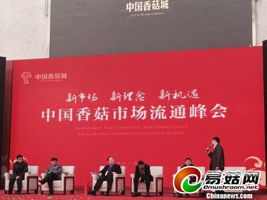 浙江庆元：依托&ldquo;菇&rdquo;文化凝结香菇经济新增长极